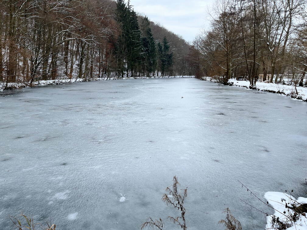 22-12-19 11-31-21 3610